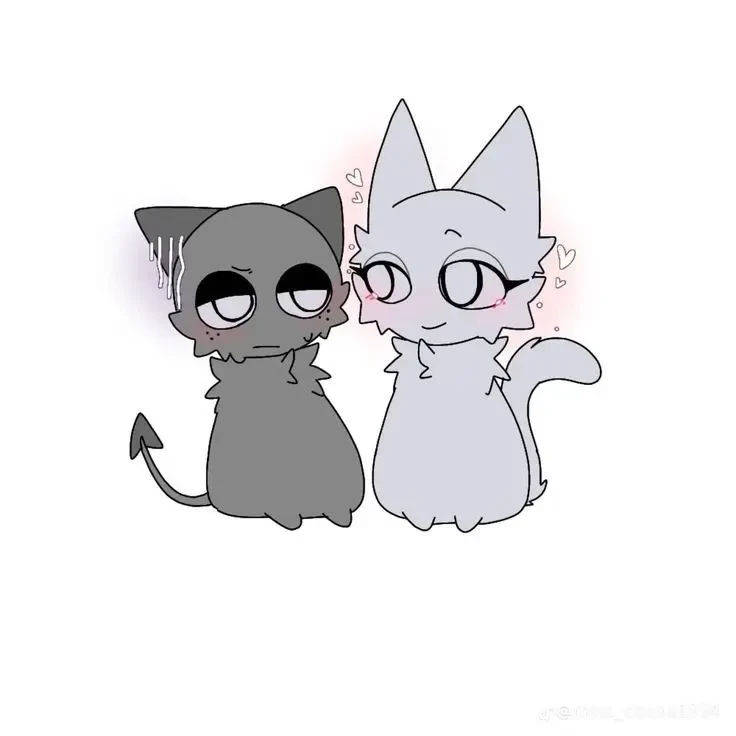 푸라