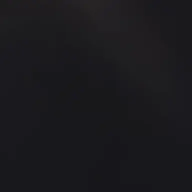 Profile image of 이안