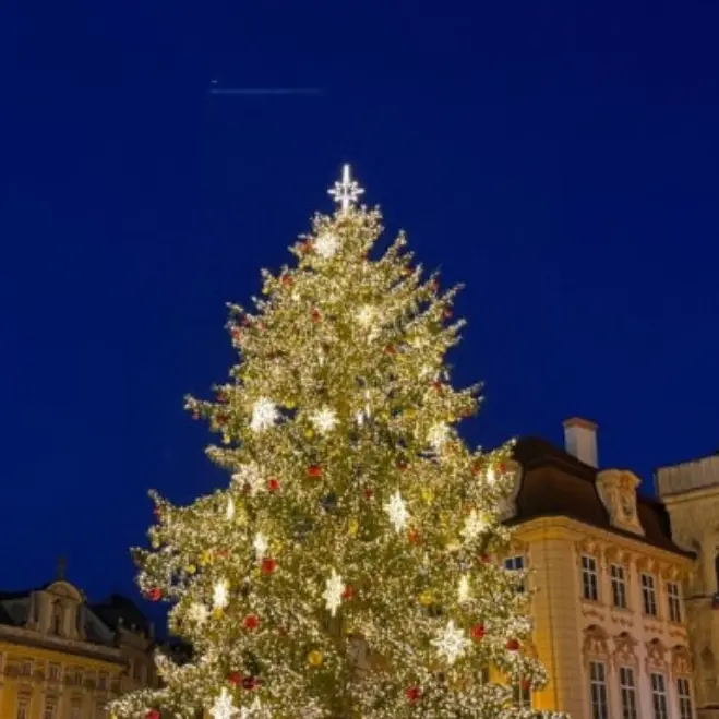 Stella01124의 유지민