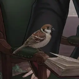 Profile image of 치치