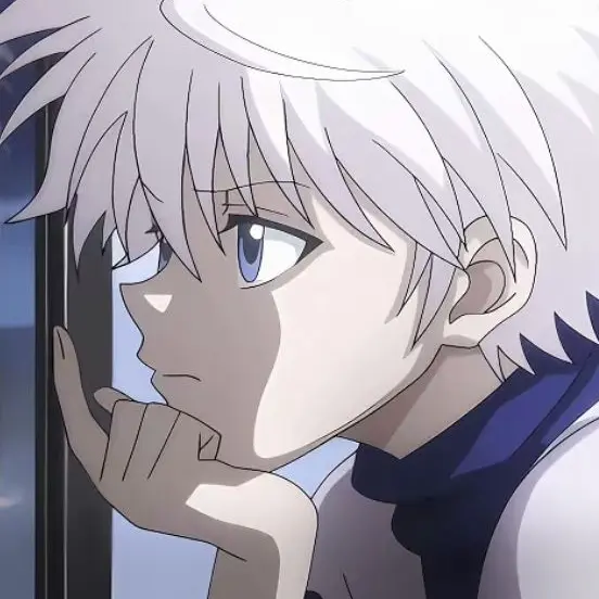 FlimsyElk8597의 ゾルディック家(自分用