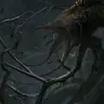 Profile image of The Gravemind