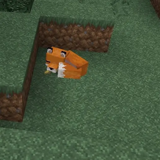 PlumpOptic9265의 피구부f6