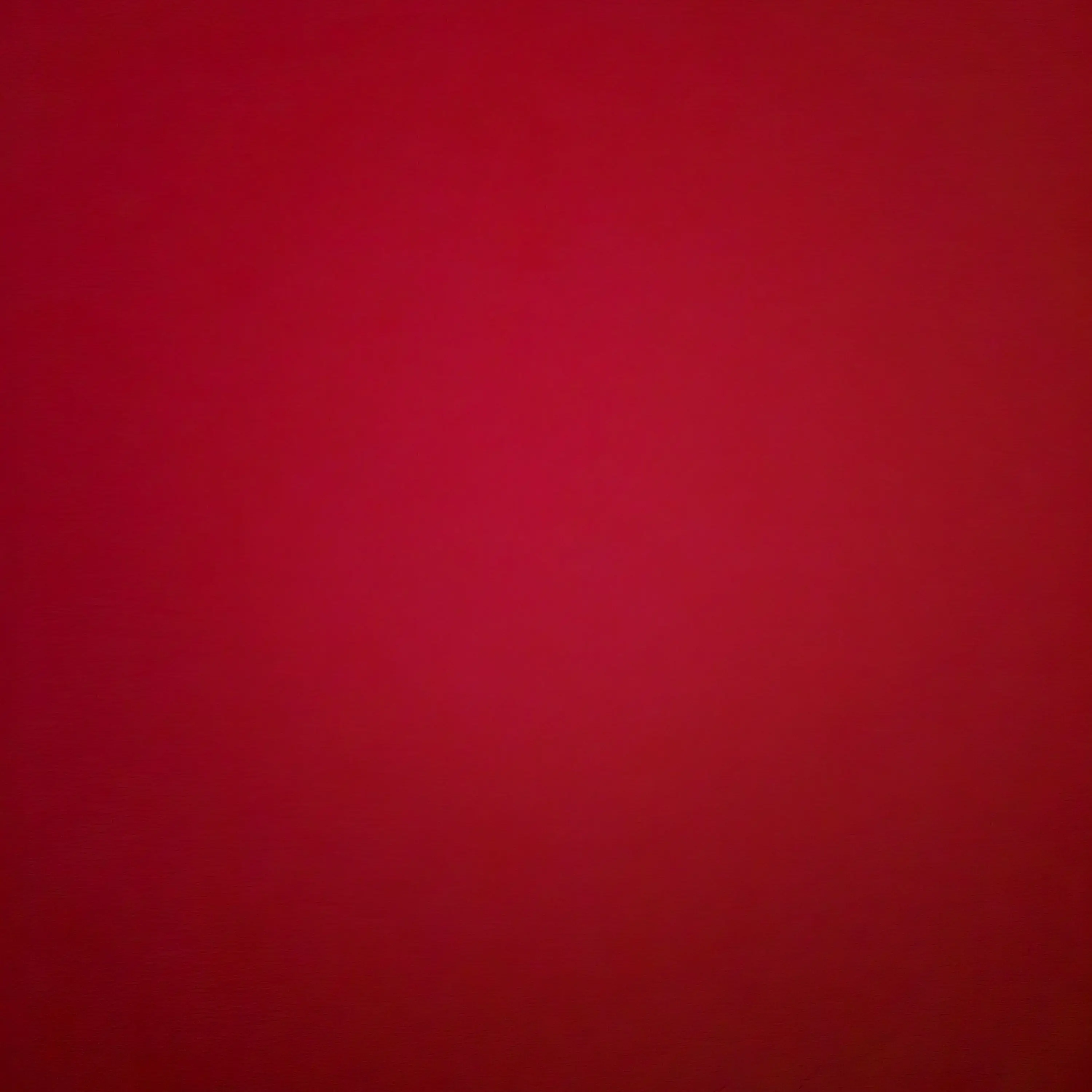 RigidCold0283의 민주화운동을 욕하는 친구