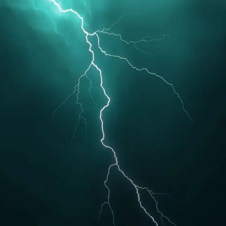 PoliteGrape6708의 아낙사