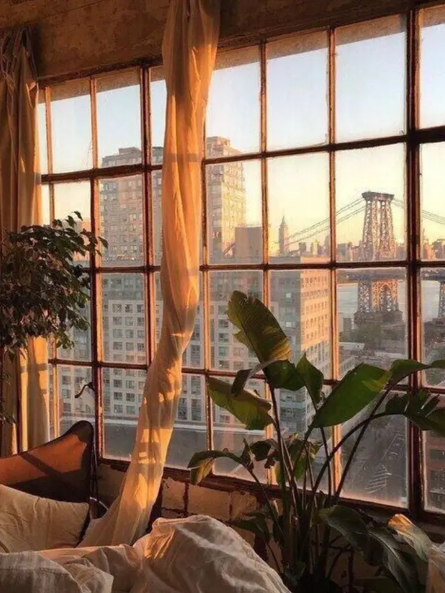 eight_jellyfish의 박덕개