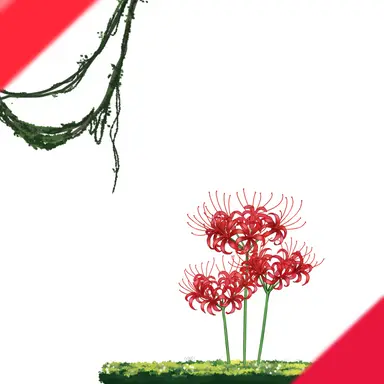 Profile image of ラビュ