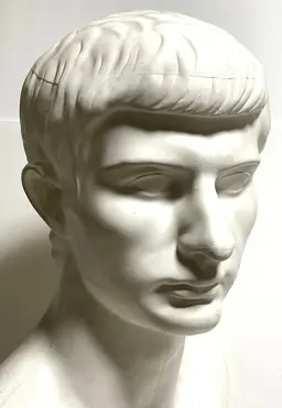 Profile image of ブルータス