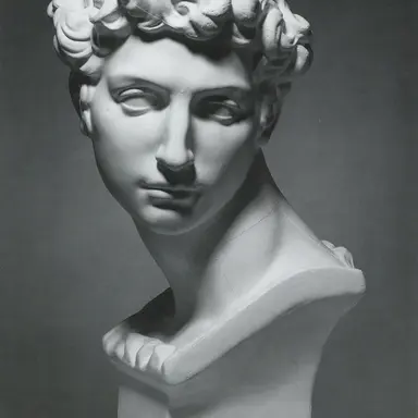 Profile image of メディチ