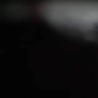 Profile image of 타잔