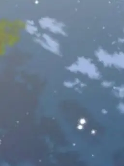 Mas_0731의 커플여행에 여우가..?!!
