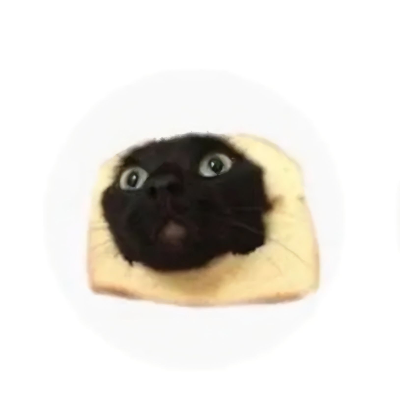 팀나빠가 직원이 있다면? 대표 이미지
