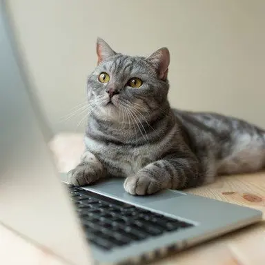 Profile image of じふな