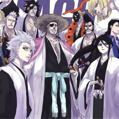 Profile image of 護廷十三隊