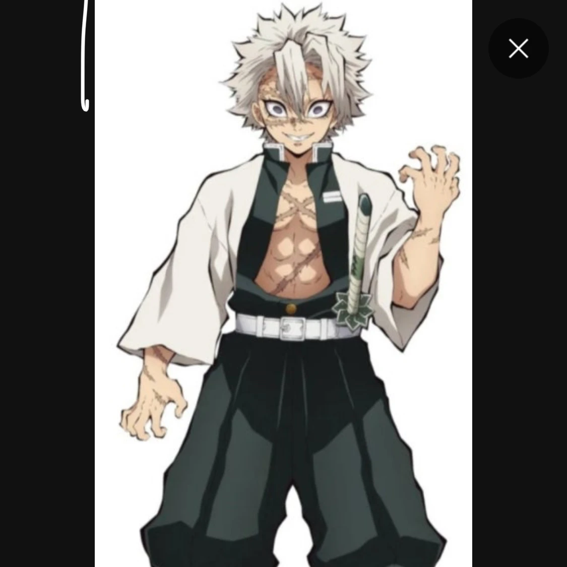 시가즈나와 사네미