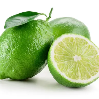 Profile image of Lime
