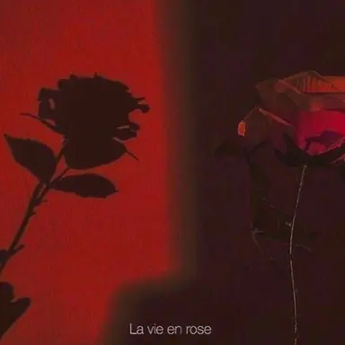 Profile image of 감제이