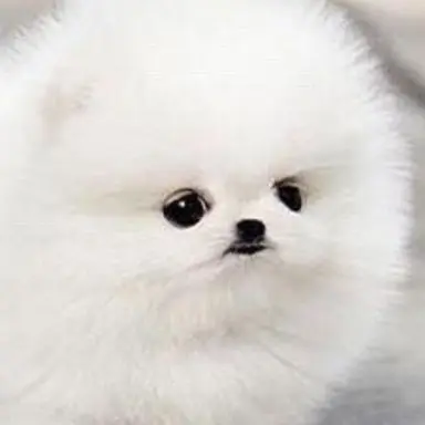 Profile image of Malsuk