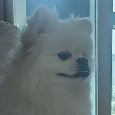 Profile image of 송필근