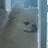 송필근