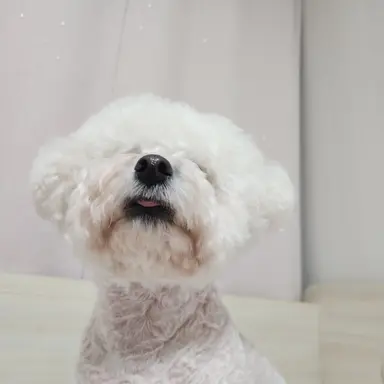 Profile image of 쿠팡걸