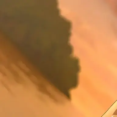 Profile image of 将校