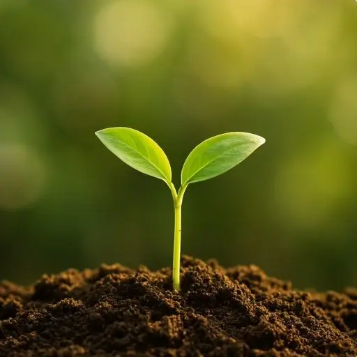 HardCurry1813의 이은우[BL]