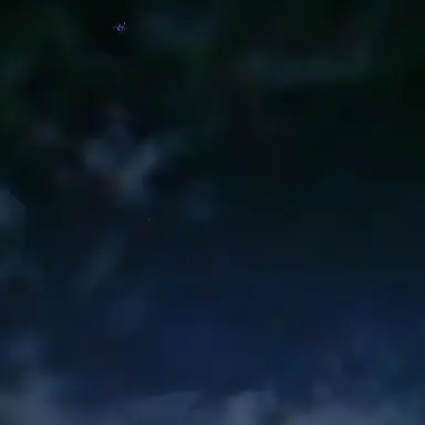 Profile image of 나경