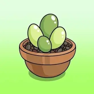 Profile image of 多肉植物