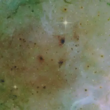 Profile image of 橋部 美来