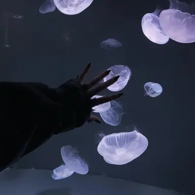 Profile image of 眞栄田郷敦