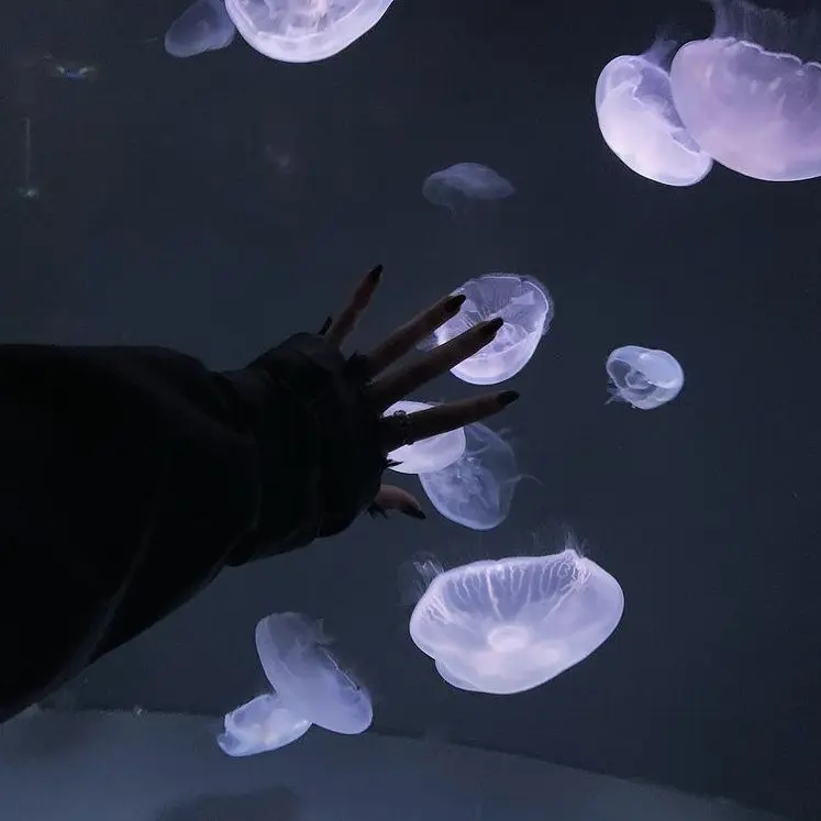 tukino_01의 眞栄田郷敦