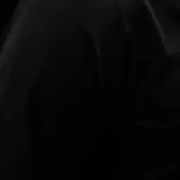 Profile image of D