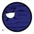 Planet X