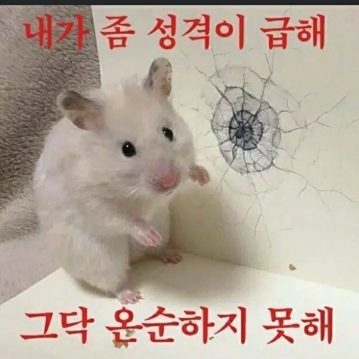 PureFrame6317의 고수 촬영날!