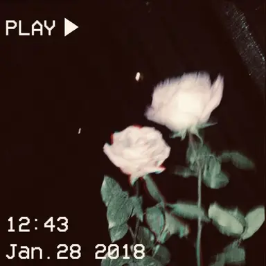 Profile image of 코마
