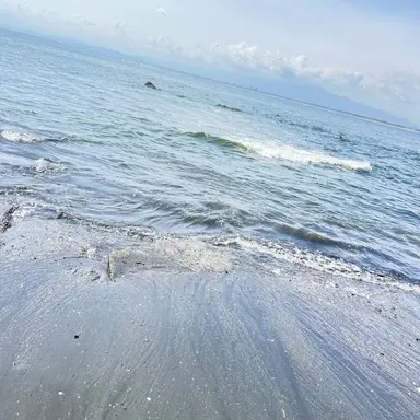 Profile image of 괴롭히는 학생