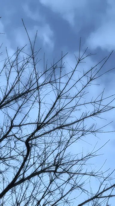 Profile image of 최승철