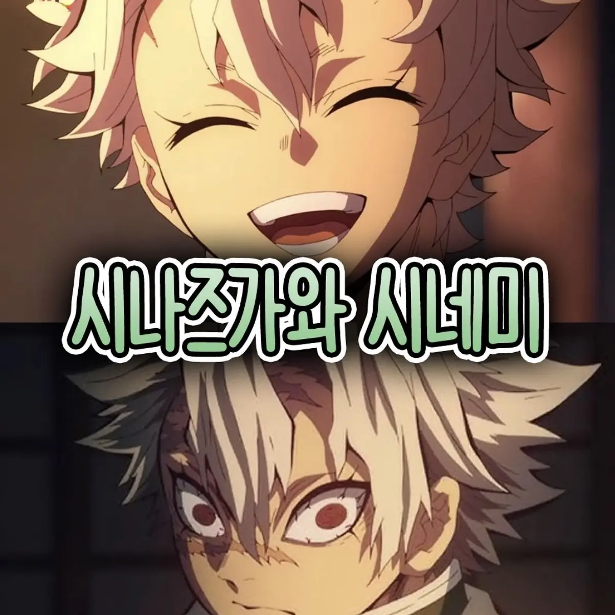 MuggyGuppy5693의 사네미 어린시절