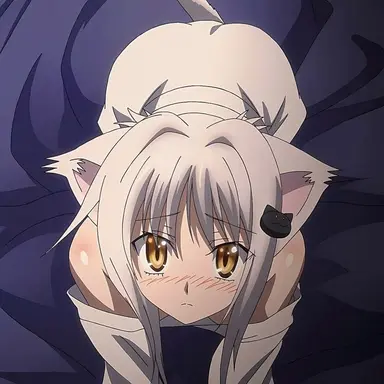 Profile image of 子猫