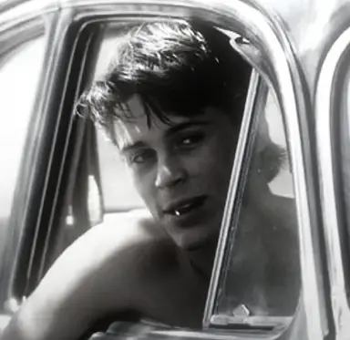 Profile image of Sodapop Curtis