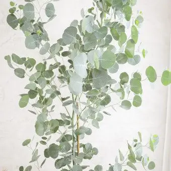 Profile image of 공룡