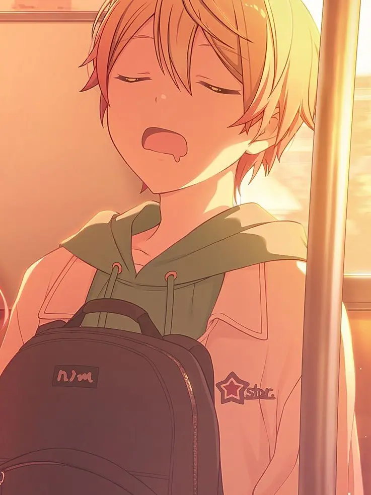 1206.517shizutuka.love의 推しぬいが人に！！