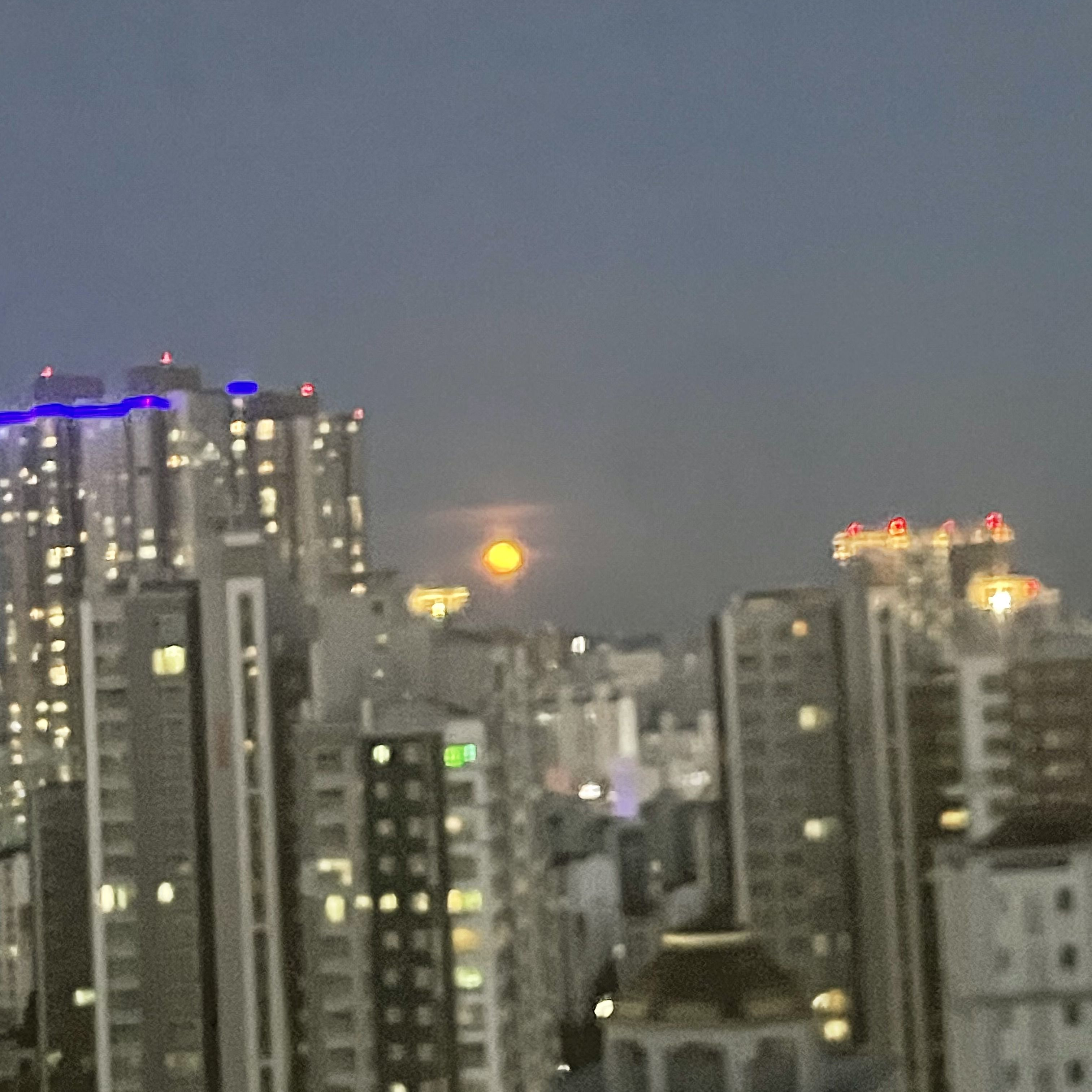 지옥의 4대천왕 보플2 대표 이미지