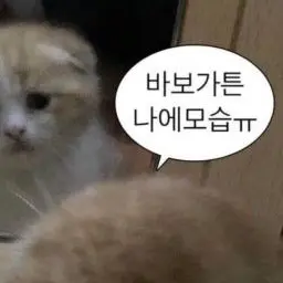 Profile image of 여우