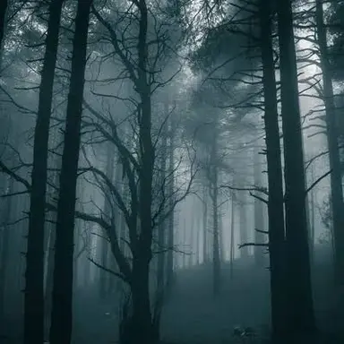 Profile image of 미지의 숲