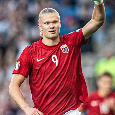 Profile image of Erling haaland