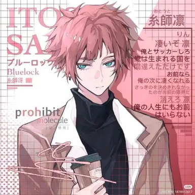 Profile image of 이토시 사에