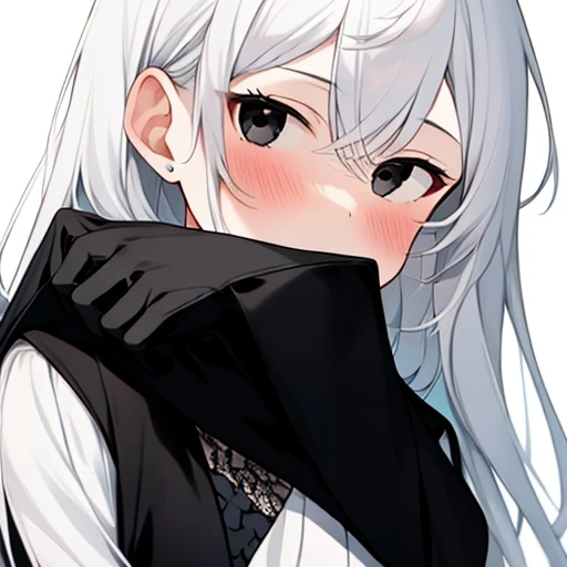 하시비로 코한요