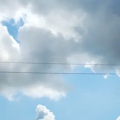 Profile image of 마플